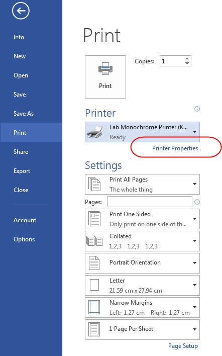 Print Screen on Microsoft Word. Under the Printer Section, the "Printer Properties" Link is highlighted