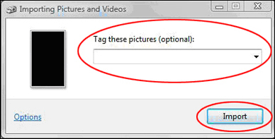 Importing Pictures and Videos window with picture-naming field and import button highlighted.