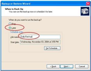 When to Back Up window with the 'Later' option selected. Beneath Schedule entry, within the Job name field, 'Daily Backup' is written in and circled.