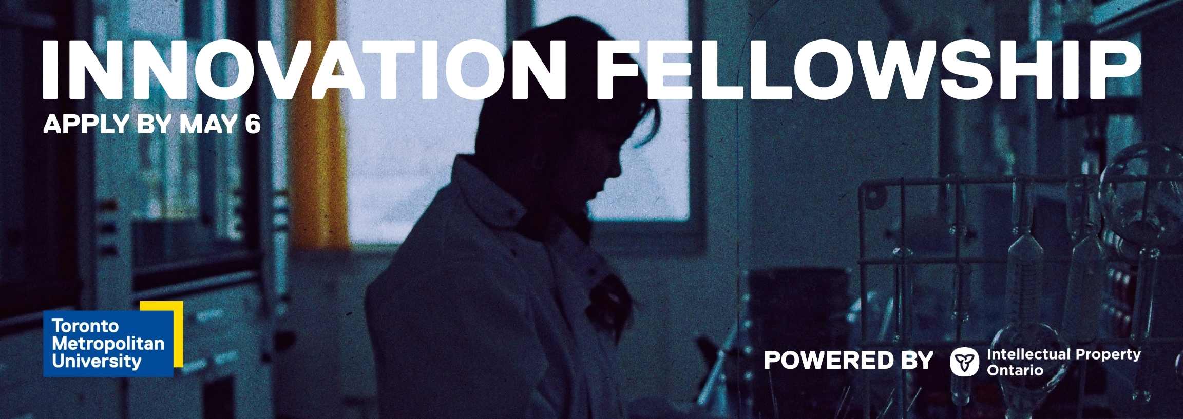 Innovation Fellowship Assets - 1
