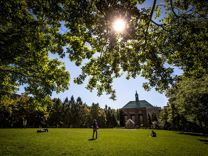 Master of Health Sciences in Combating Child Sex Trafficking and Online Child Sexual Exploitation