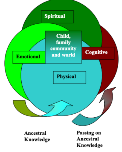 Cover image for The breath of life versus the embodiment of life: indigenous knowledge and western research