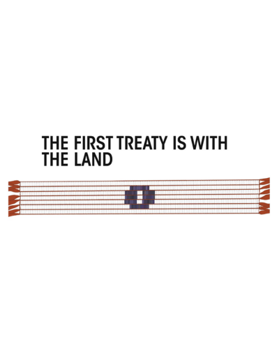 Cover image for The treaty guide for Torontonians: The first treaty is with the land