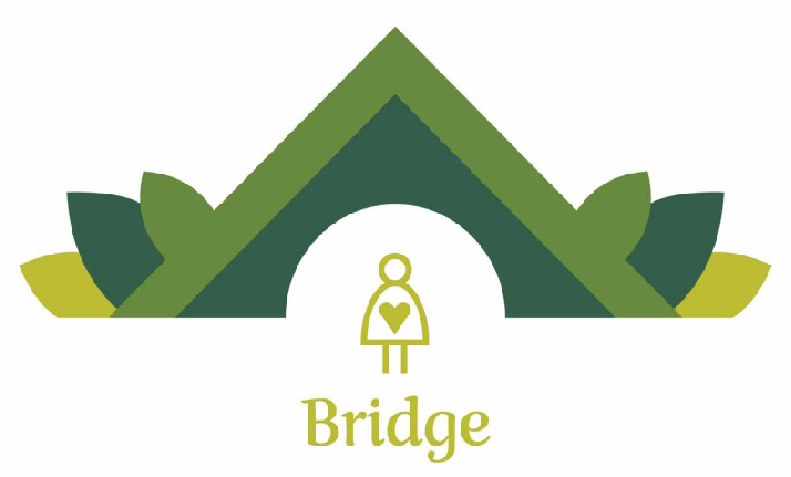 Bridge logo