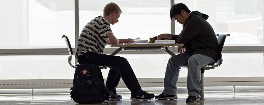 Two undergraduate students studying together