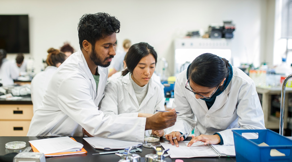 Chemistry and Biology current undergraduates supporting each other in class lab.