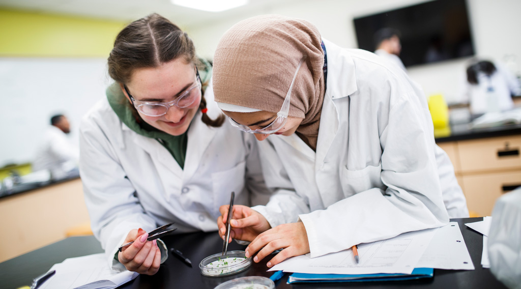 Chemistry and Biology current undergraduates studying a sample in lab.