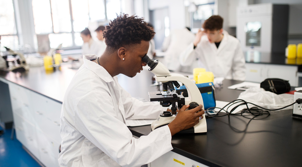 Chemistry and Biology undergraduate student looking through microscope in lab.