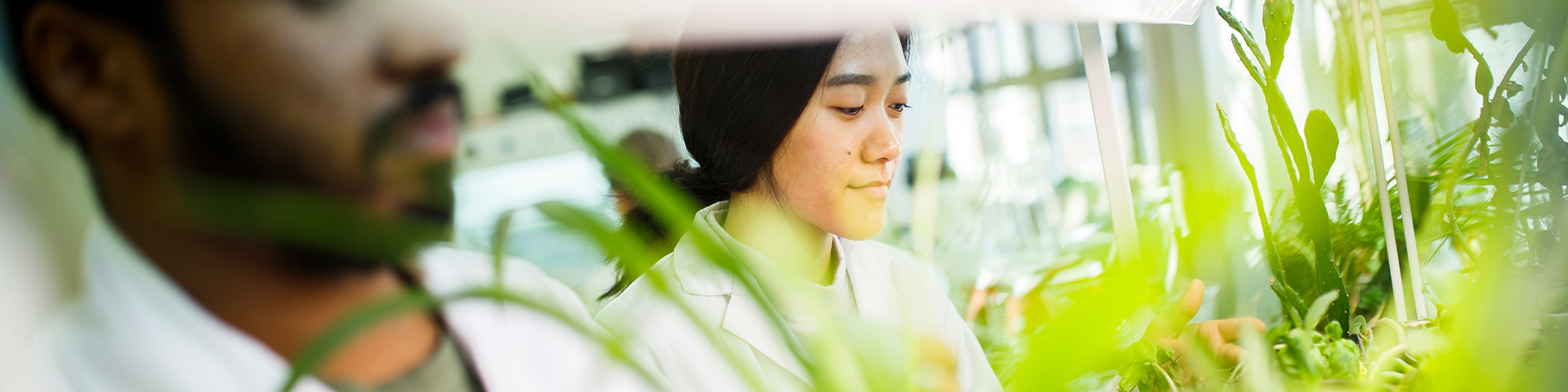 Two students standing in a biology lab behind plants.