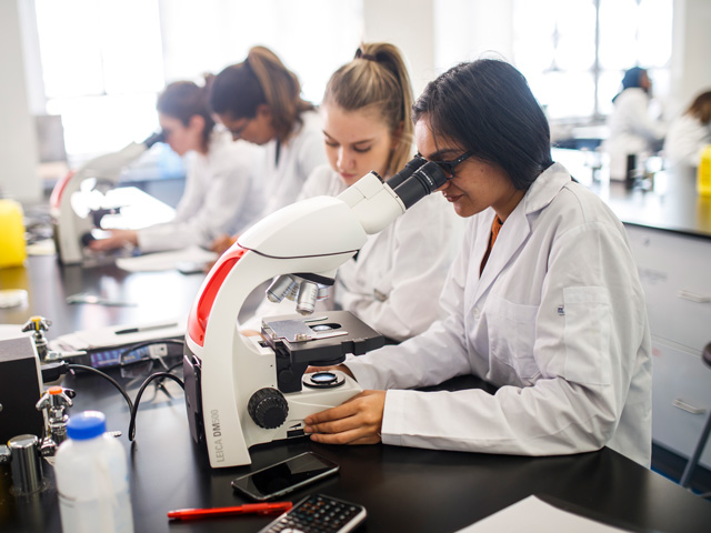 Chemistry and Biology students working on science education research in lab.