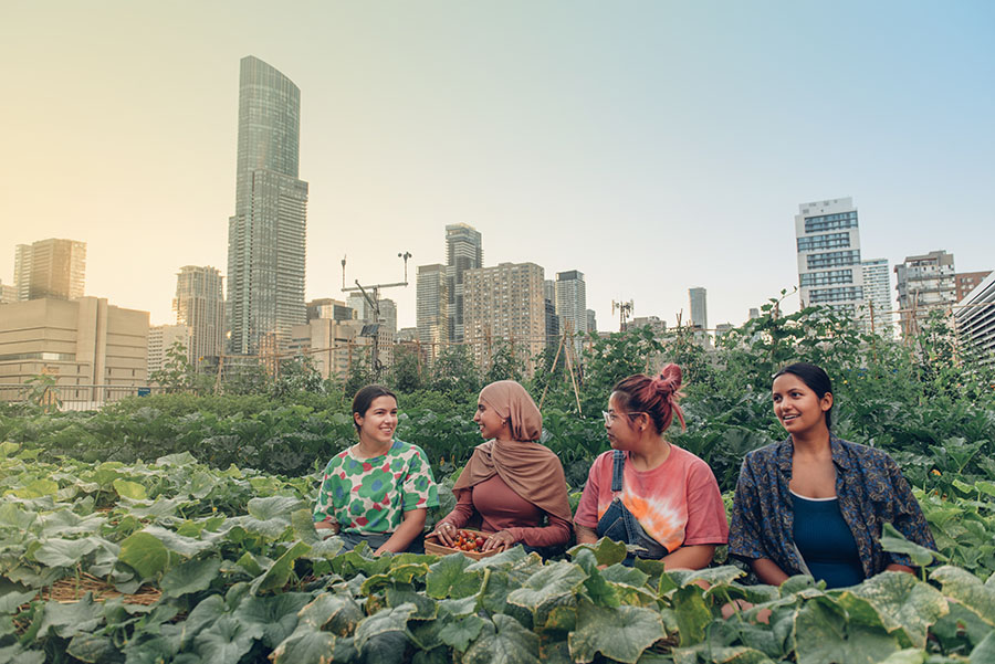 Four women working in the TMU rooftop urban farm