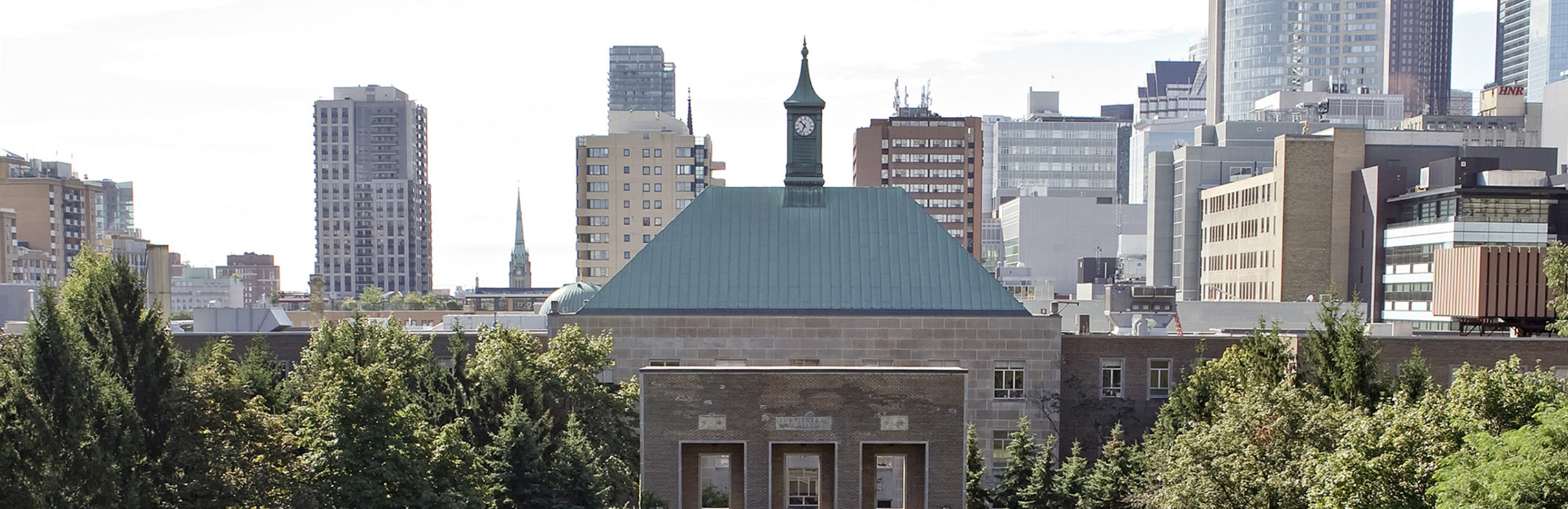 TMU Quad with trees and a view of the clocktower.