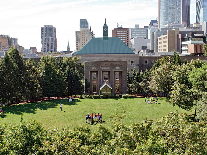 TMU Quad with lush green grass and trees with a view of the clocktower.