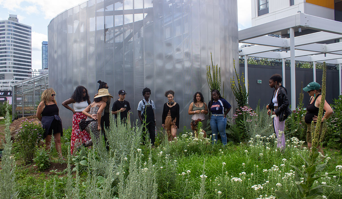 Black students, faculty, staff and community gathered in a circle at TMU's Urban Farm.