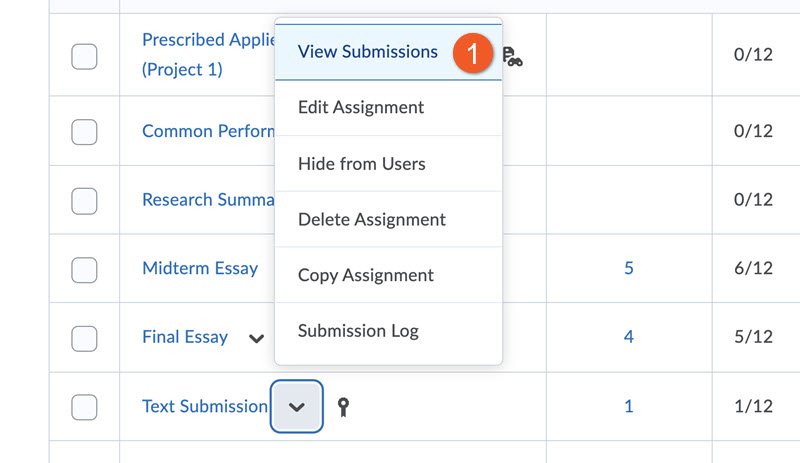 Evaluate a student's assignment submission