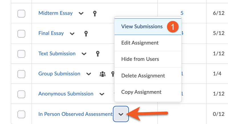 Click on the contextual menu beside the assignment name and select view submissions
