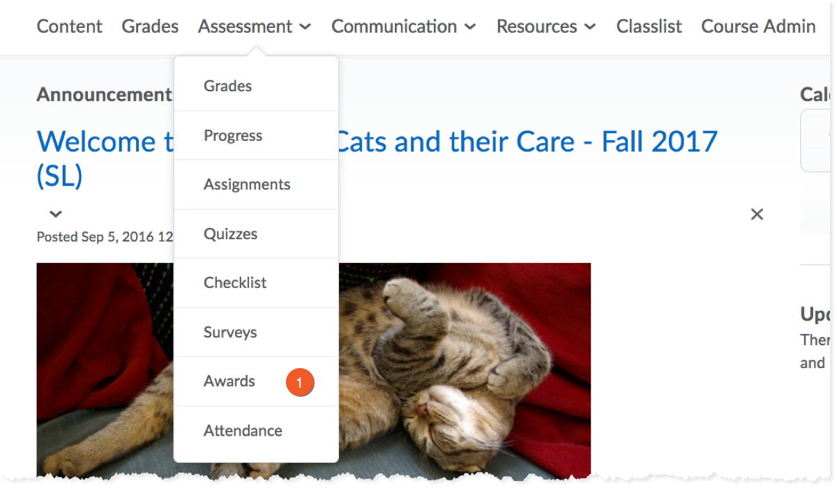You will find the Awards tool in the Assessment dropdown menu.