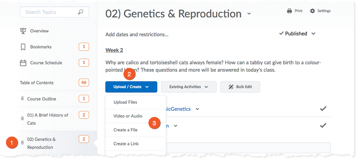 Create a content module