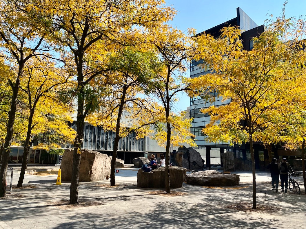 Photo of Lake Devo in the Fall