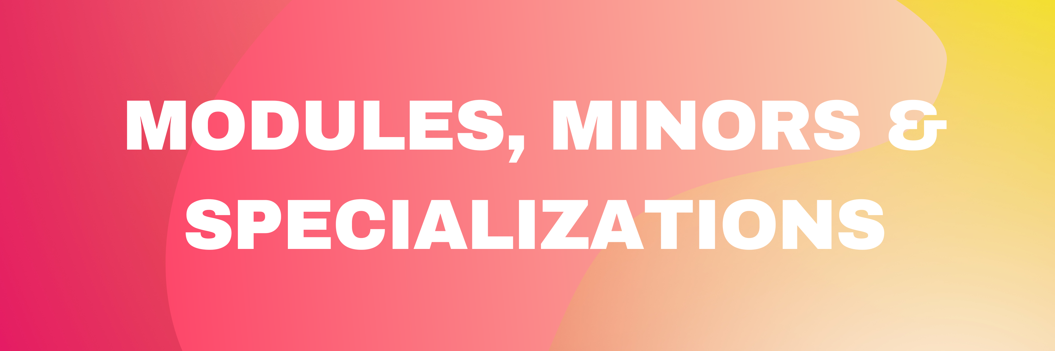 Modules, Minors & Specializations page banner