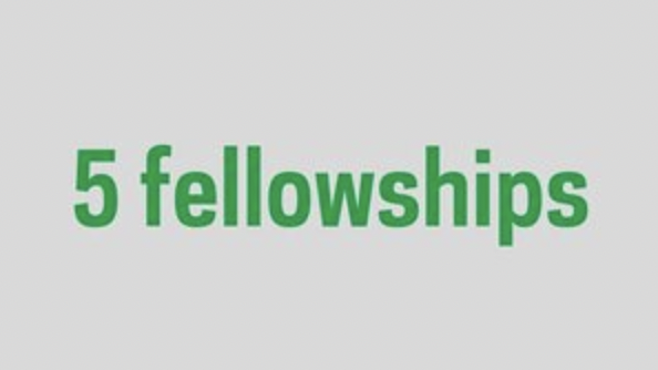 5 fellowships