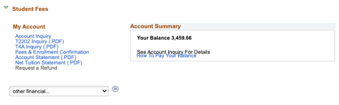 The Account Summary screen on RAMSS displaying total account balance.