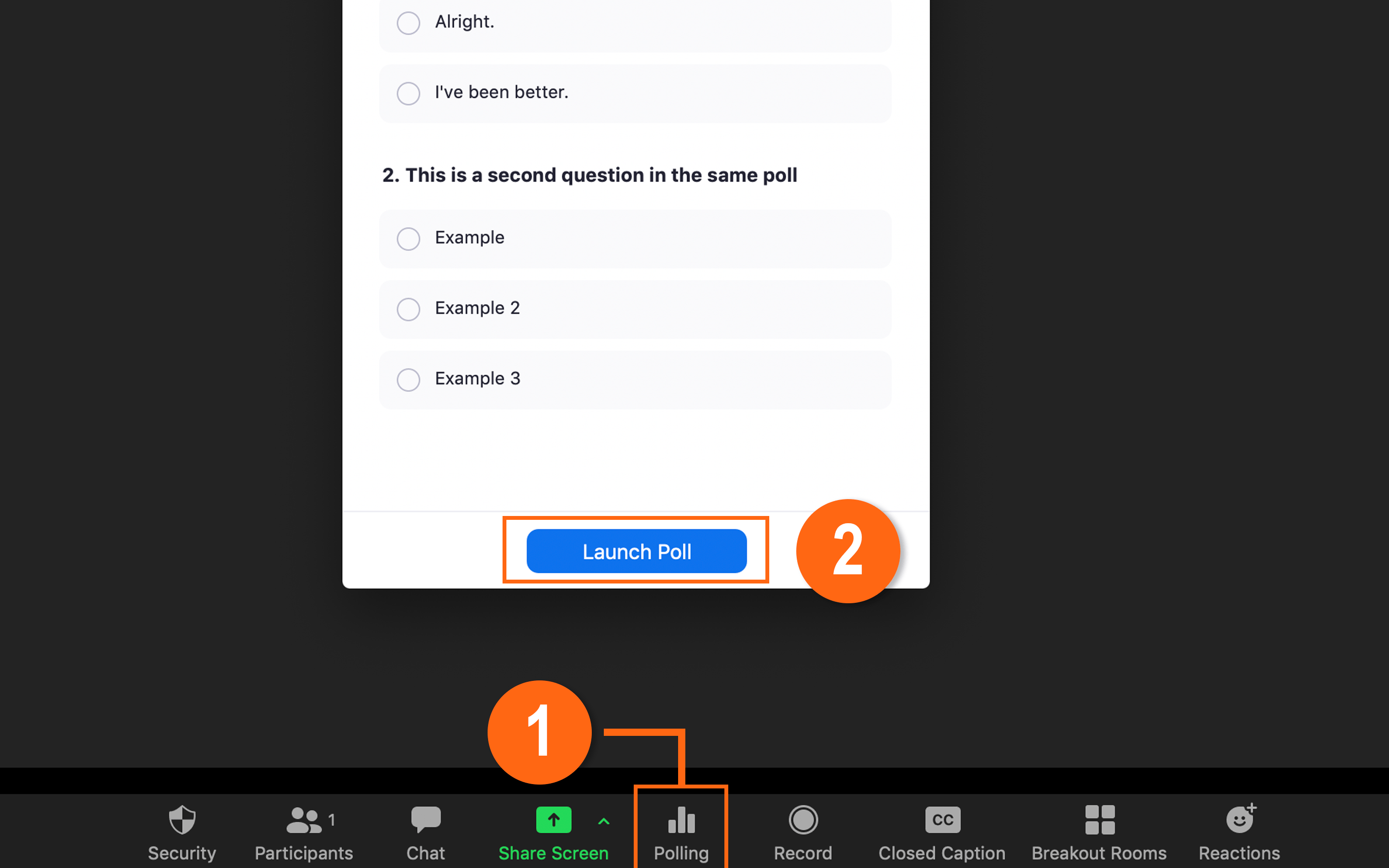 Launching polls in Zoom 