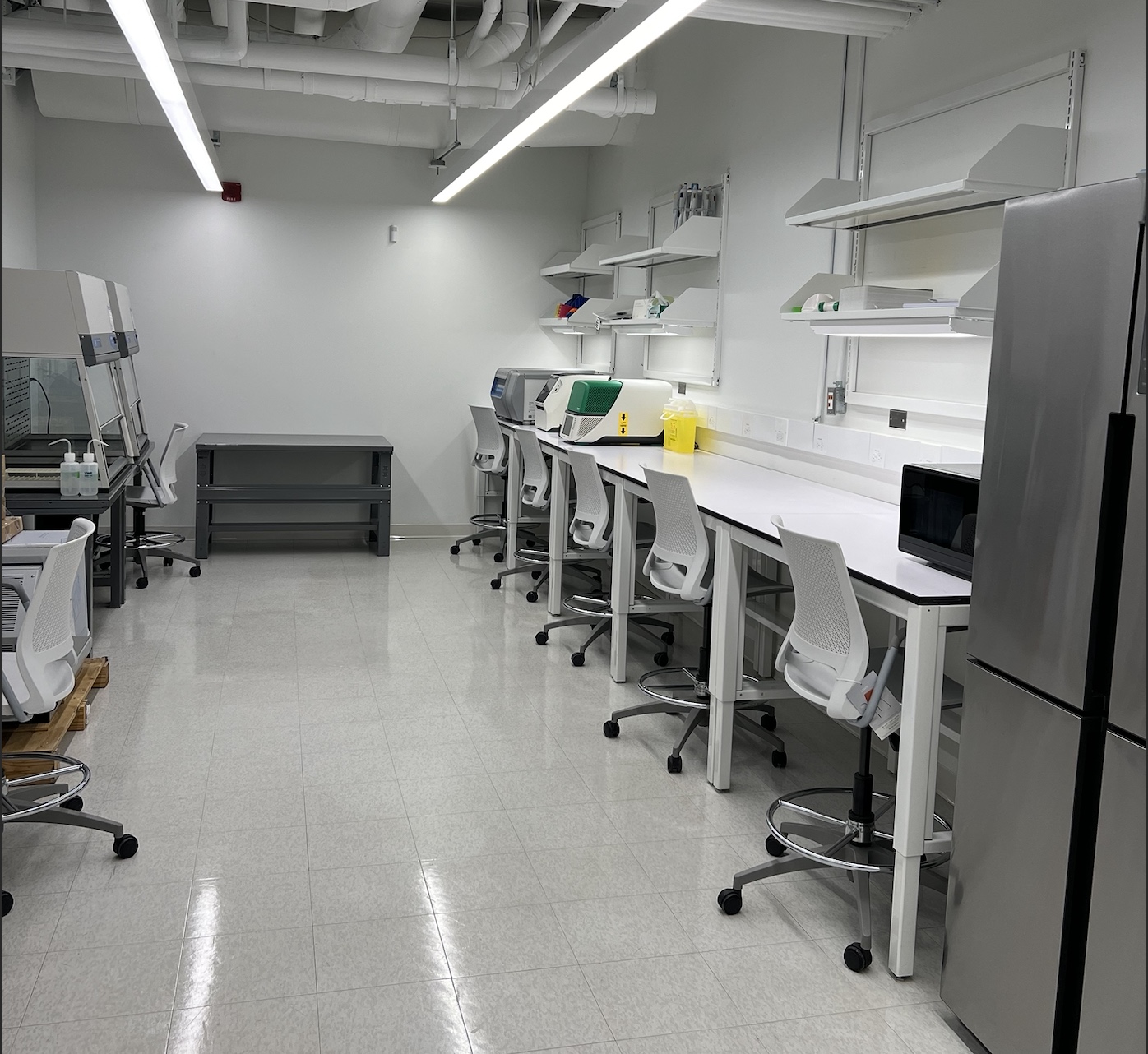 This is an image of a biology laboratory. The lab contains workbenches and imaging equipment. 