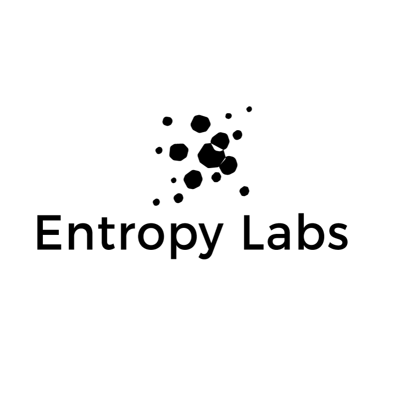 This logo of "entropy labs' has the company name written in black text underneath scattered black dots
