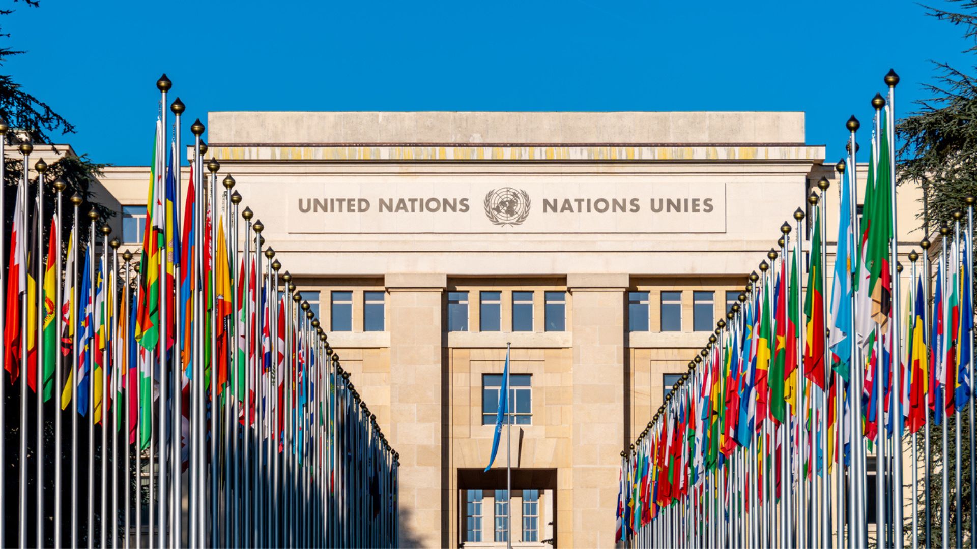 A row of flags lines the row that leads to the UN Geneva headquarters.