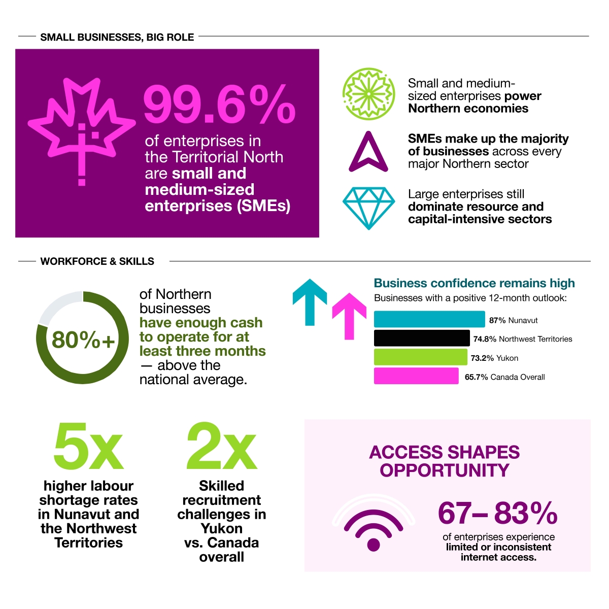 An infographic showing that 99.6% of businesses in the territorial north are SMEs and that they face challenges accessing skilled labour and internet connectivity but have high confidence.