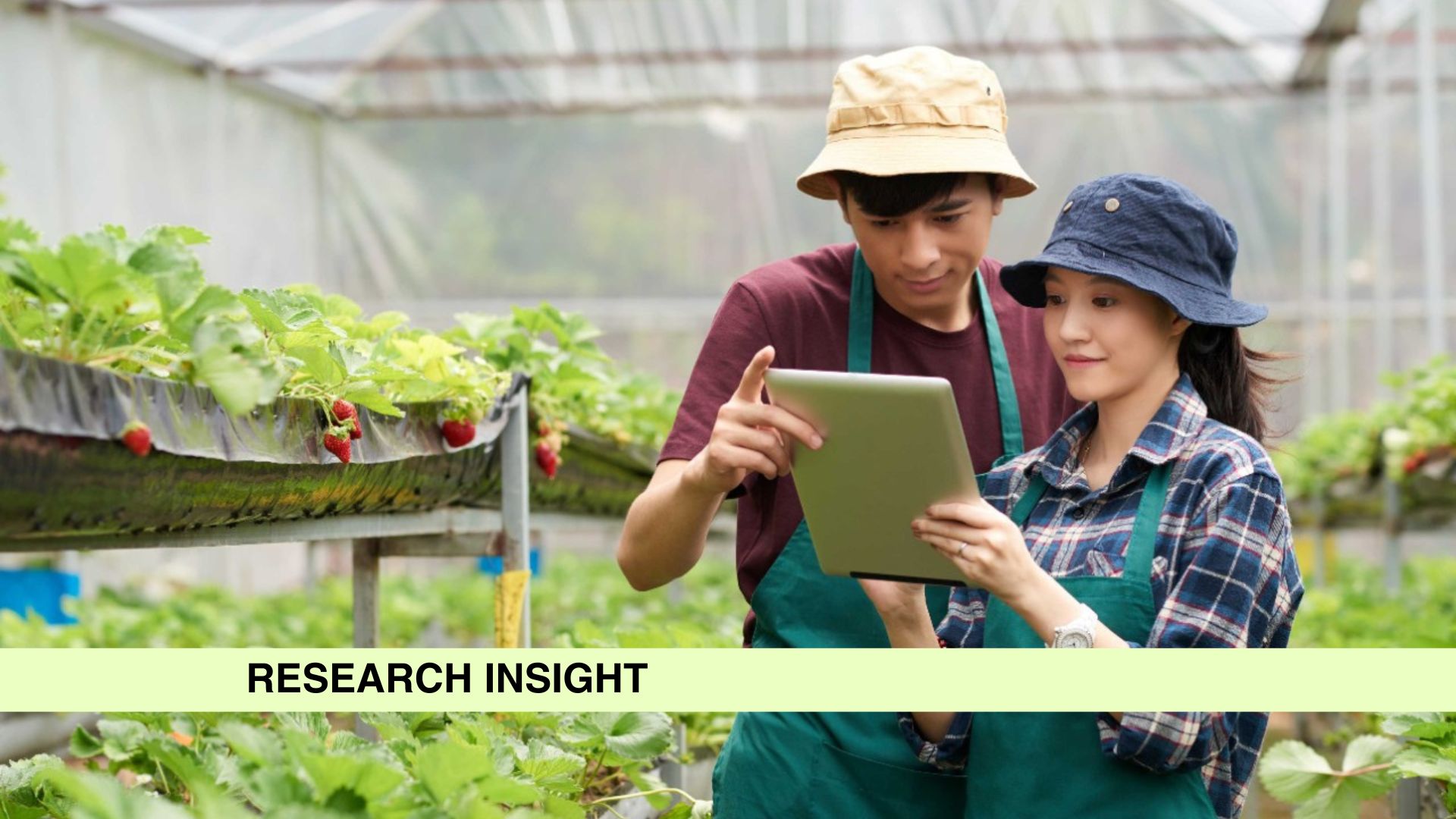 Two diverse colleagues examine a tablet in a greenhouse.