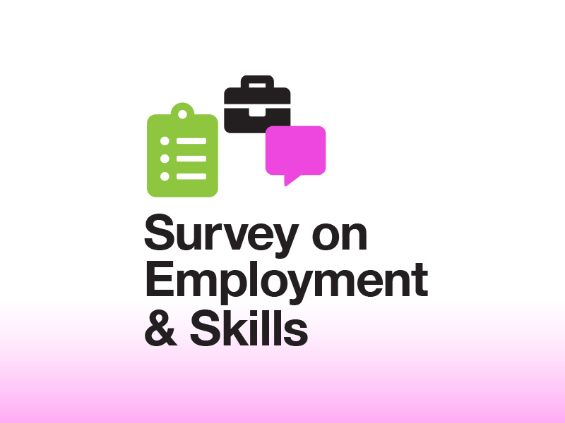 A link to the survey on employment and skills project page with links to other reports and news items.