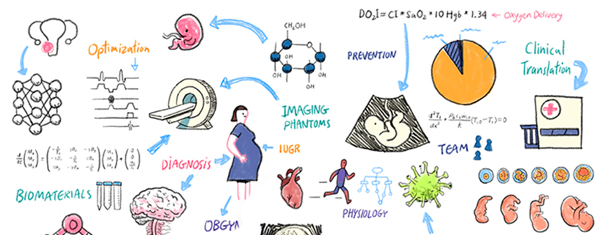 Research Banner Image