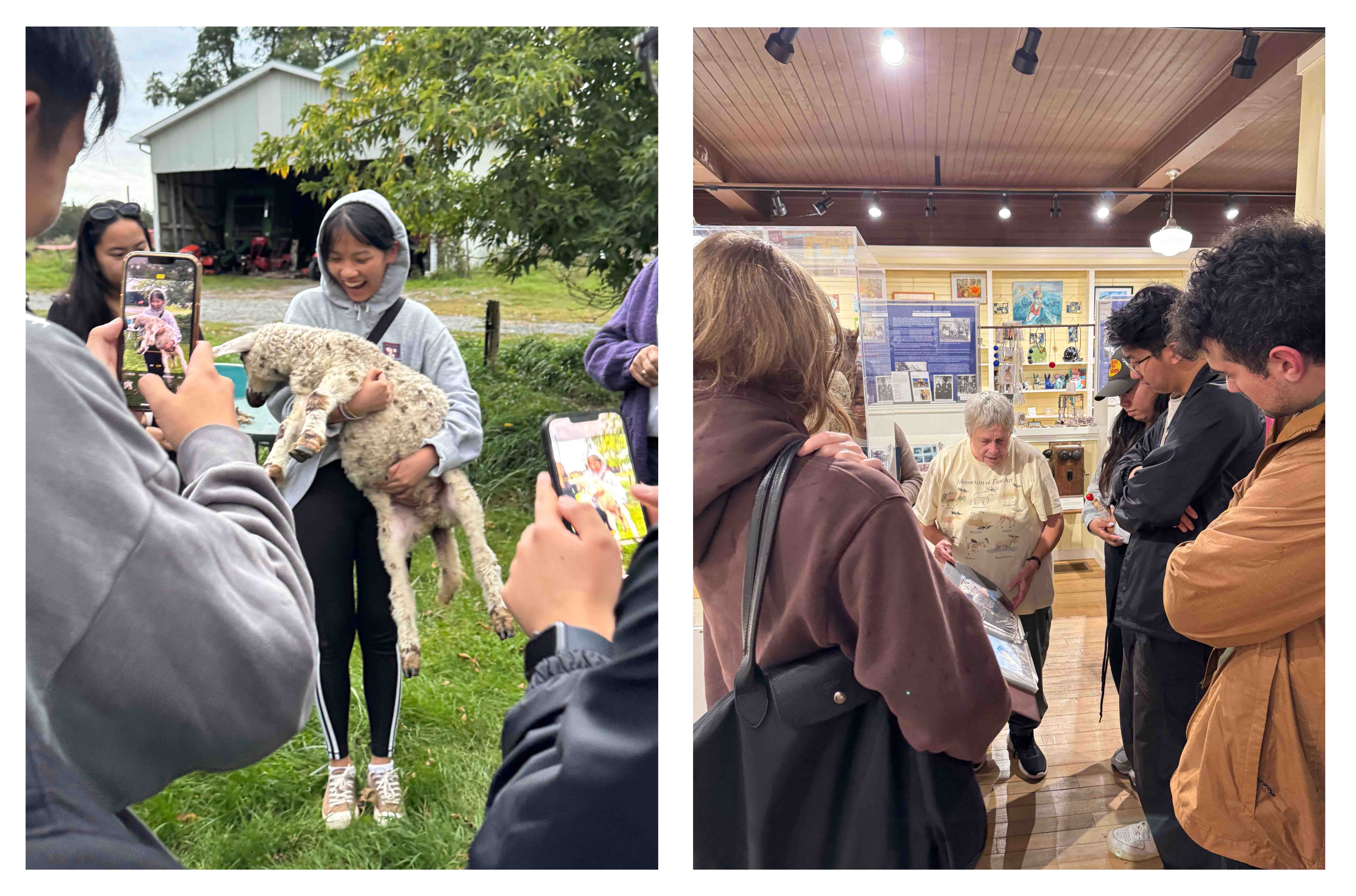 Amherst Island Design Studio photos