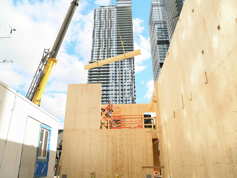 web-homegrown-1-818x613 - 4