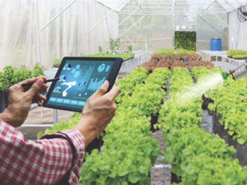 Agromatica Working towards understanding interdisciplinarity: agriculture labs to ...
