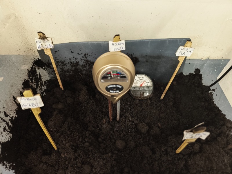 Biodegradation test: a small container with steady temperature and moisture level in moist soil. 