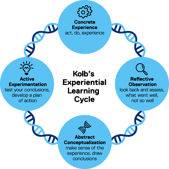 Four Stages of Simulation