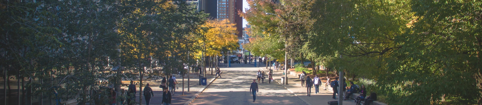 Elevated view of pedestrians and students walking along a wide, tree-lined walkway on campus.
