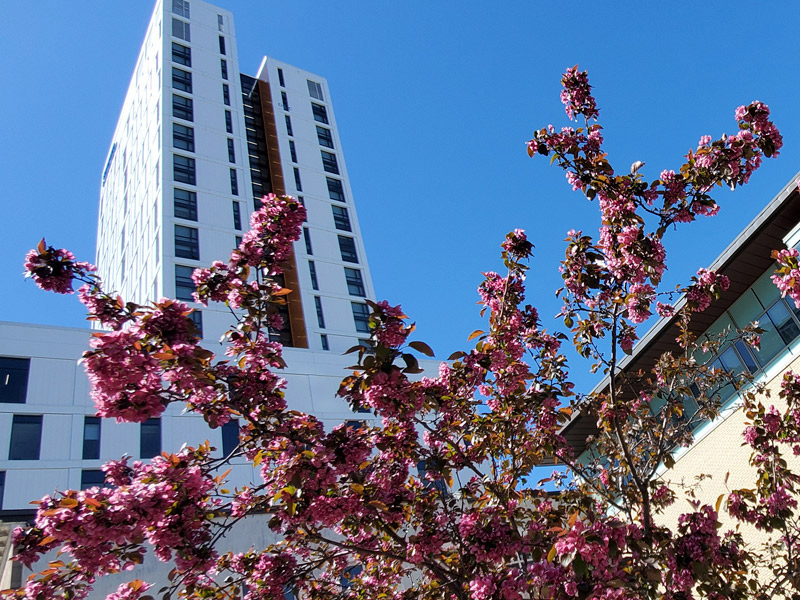 The LEED certified Daphne Cockwell Health Science Complex met its LEED certification targets for sustainability.