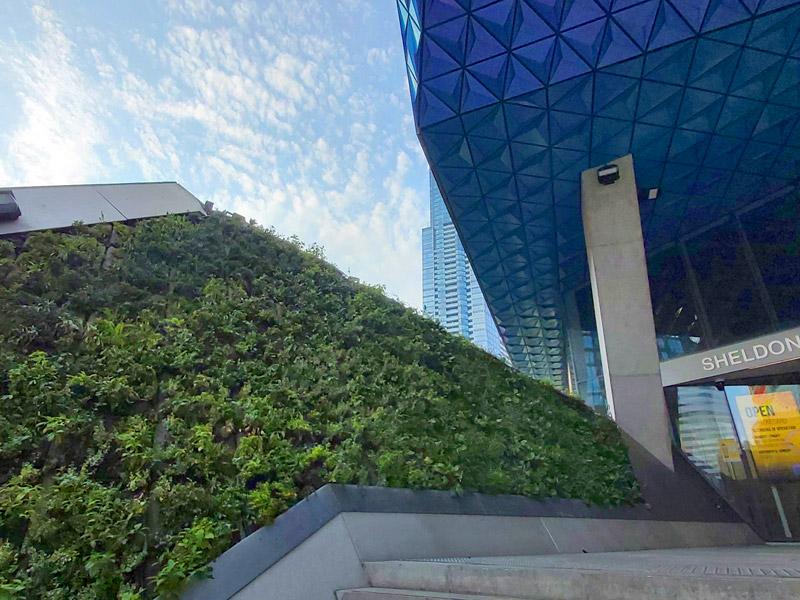 Green roof systems are integral to all new construction at Toronto Metropolitan University