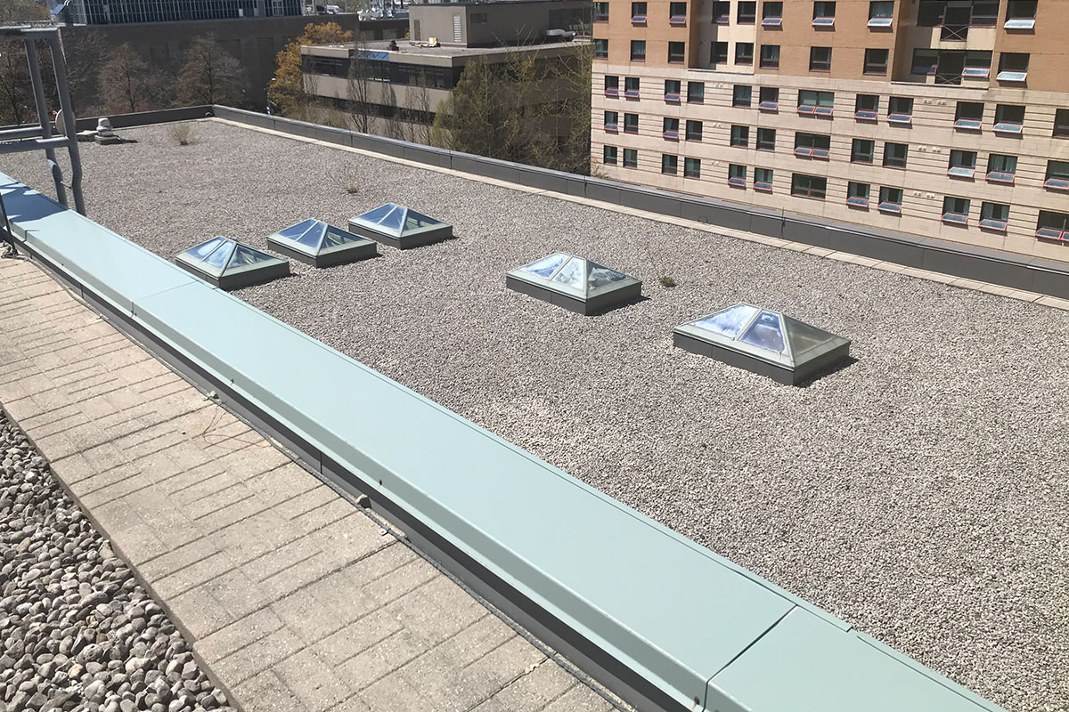 A TMU rooftop showing skylights.