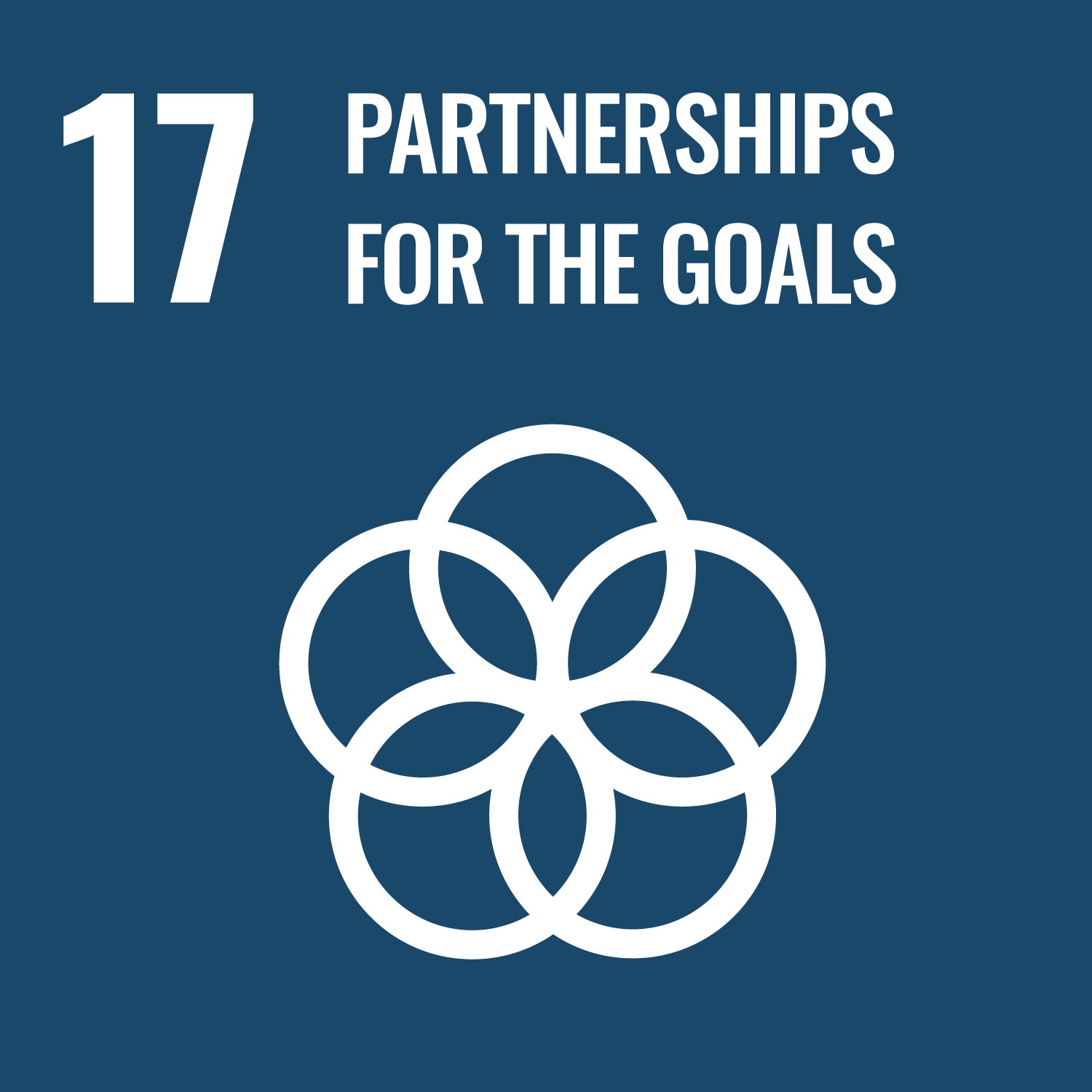 SDG 11: Sustainable Cities and Communities