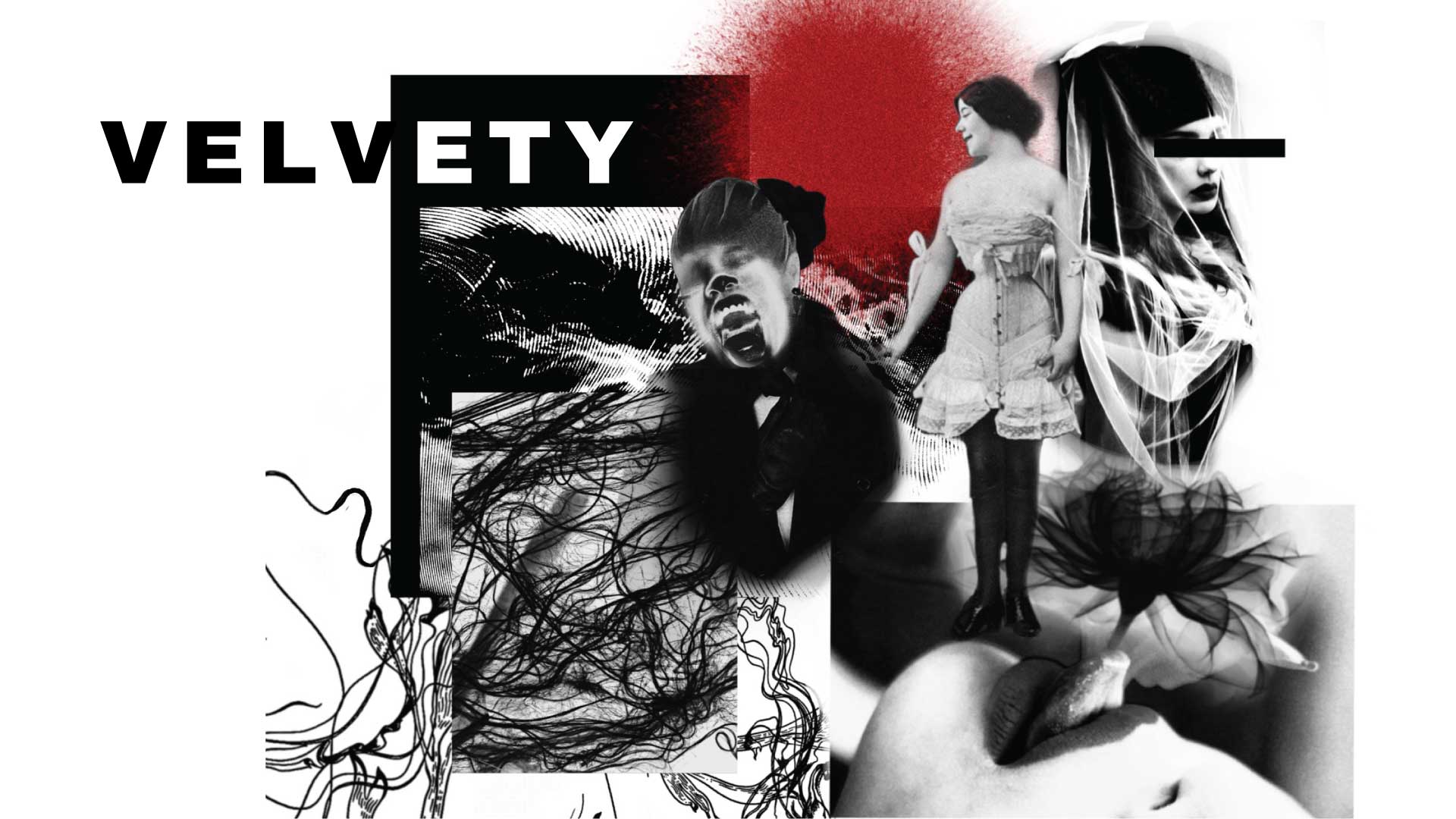 Portfolio Example