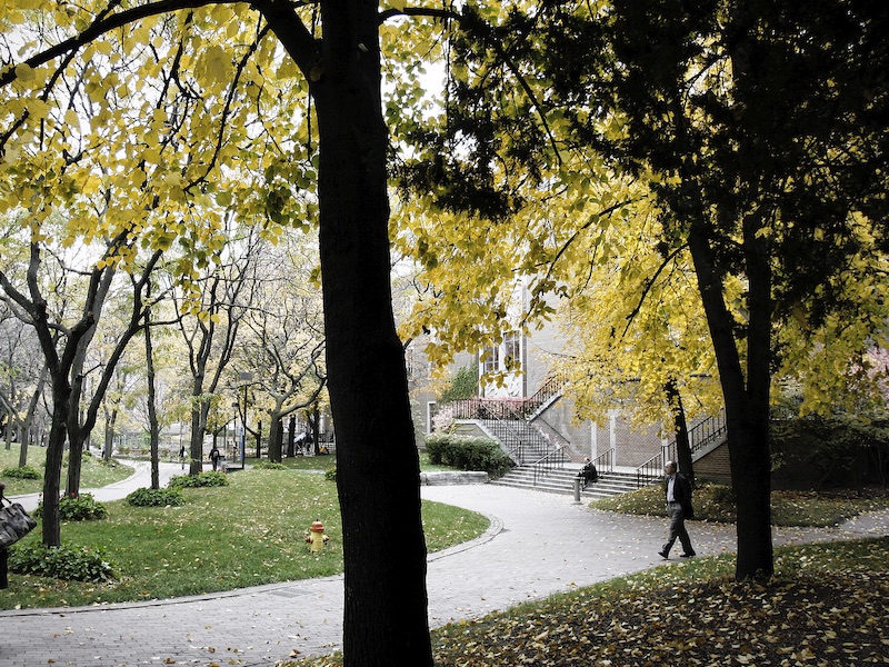 quad at ryerson path with trees