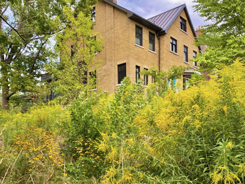 house with natural garden in foreground - credit to Lorraine Johnson, 2020