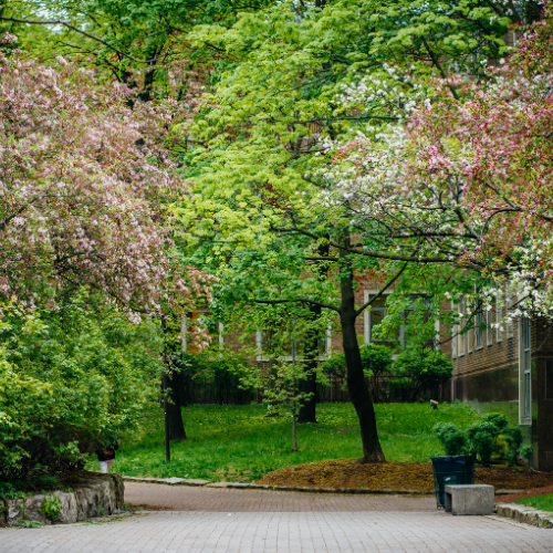 Green Trees