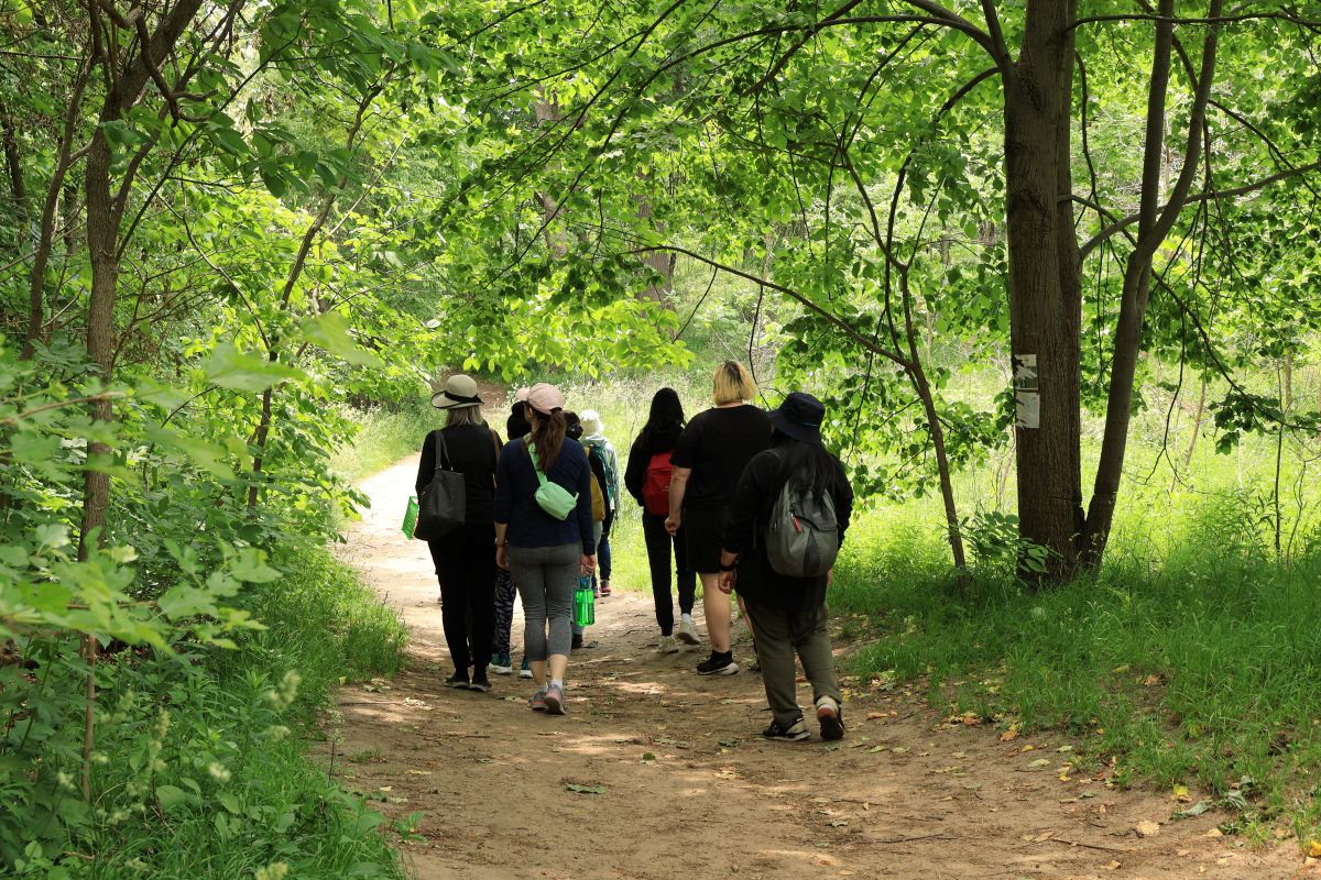 A group of forest bathing participants walking into the hidden forest in High Park, Toronto.