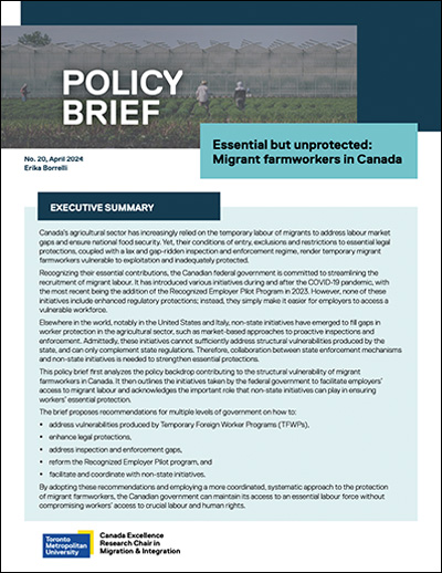 Policy Brief 20: Essential but unprotected